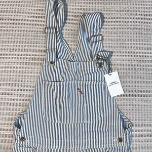 BDG Skate Fit Overalls (Navy striped)